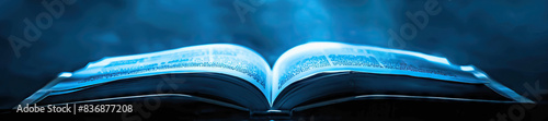 Revolutionary Literature (Blue): Symbolizes the written works, such as manifestos and speeches, that articulate the goals and ideals of revolutionary movements photo