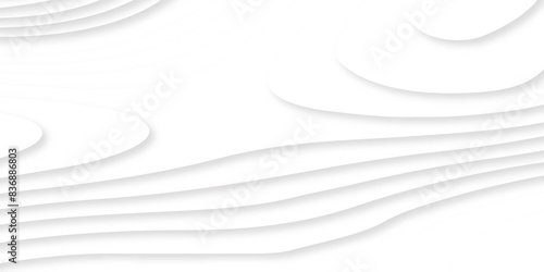 Background with lines Modern white carve wave line abstract luxury 3d papercut background. Abstract wavy line 3d paper cut white background.