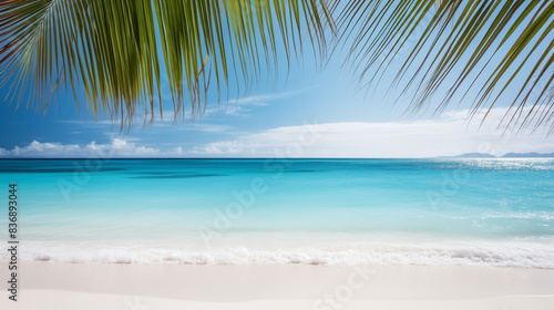 Paysage d'une plage paradisiaque avec feuilles de palmier. Espace vide de composition. Sable fin, océan ou mer. Ciel bleu, soleil. Vacances, été, voyage. Pour conception et création graphique.