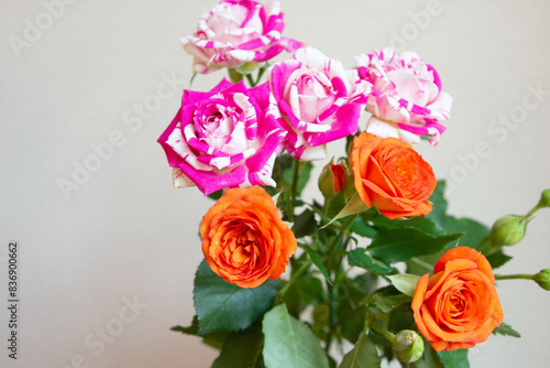 Wallpaper Mural フラッシングとベイブ Torontodigital.ca