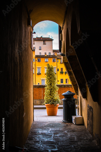 A narrow cobblestone alley with a lone plant at the end as its subject, squeezed between weather-worn brick walls.