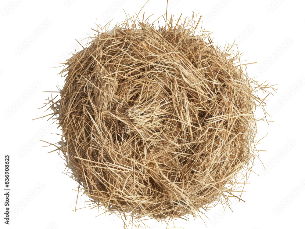 nest isolated on transparent background nest isolated on transparent background