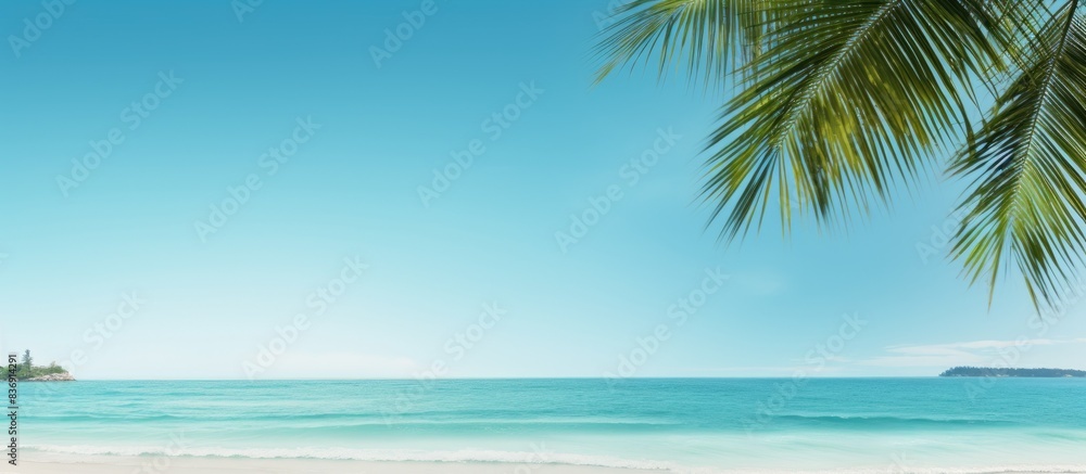 Fototapeta premium Indian Ocean beach scene under a clear blue sky with copy space image.