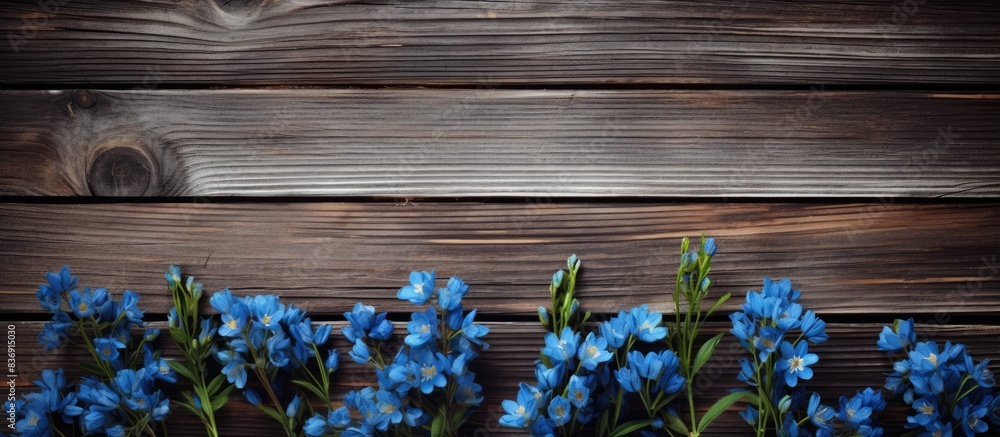 Fototapeta premium Old wooden background with blue flowers as the focal point in a copy space image.