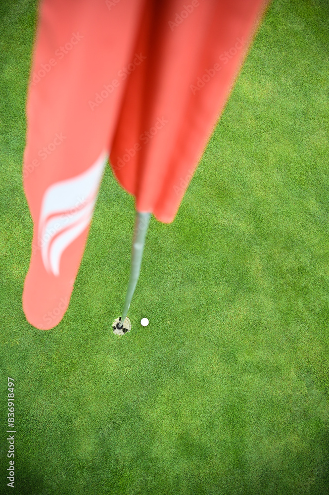 golf course green grass and ball