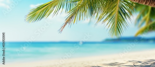 Blurry palm tree and tropical beach background with sandy surface  emphasizing a summer vacation and travel theme. Ample copy space for adding text or images.