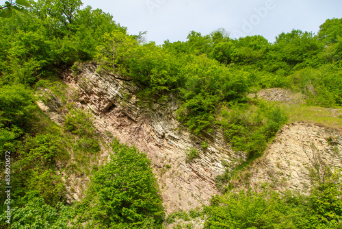 Mountain rocks in green vegetation as a background. Texture