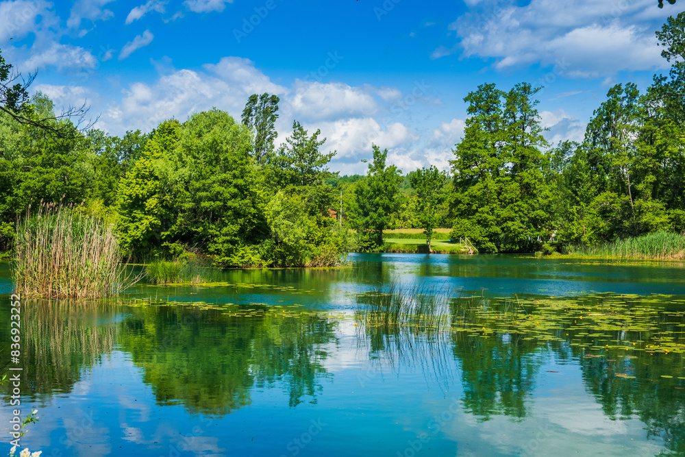 Beautiful green Mreznica river in Belavici village in Croatia, natural landscape Beautiful green Mreznica river in Belavici village in Croatia, natural landscape