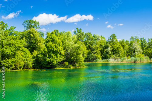 Beautiful green Mreznica river in Belavici village in Croatia  natural landscape