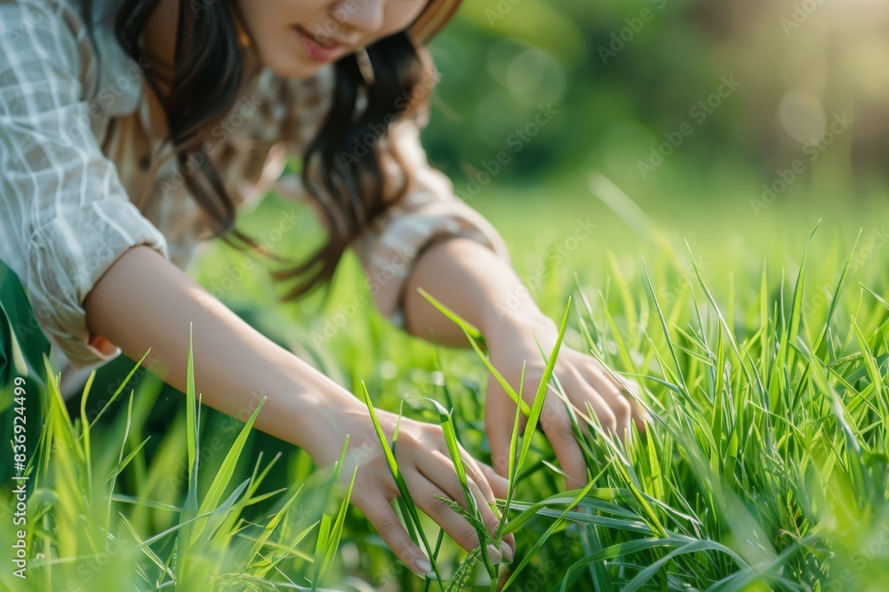 A person delicately examines blades of green grass in a vibrant field A person delicately examines blades of green grass in a vibrant field