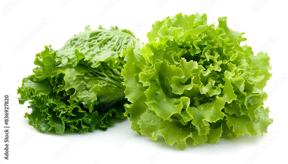 Whole and cut fresh green iceberg lettuces isolated on white Whole and cut fresh green iceberg lettuces isolated on white