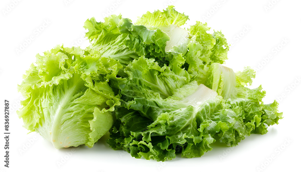Whole and cut fresh green iceberg lettuces isolated on white Whole and cut fresh green iceberg lettuces isolated on white