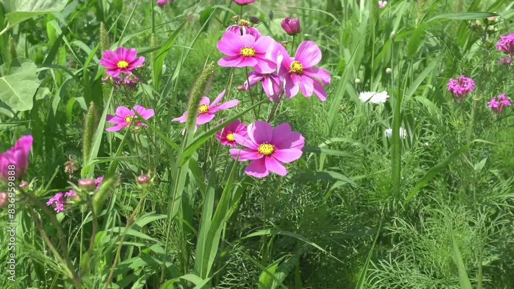 Flowers that make you feel at ease Flowers that make you feel at ease
