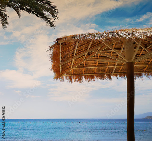 Mediterranean beach with umbrella and branch of palms