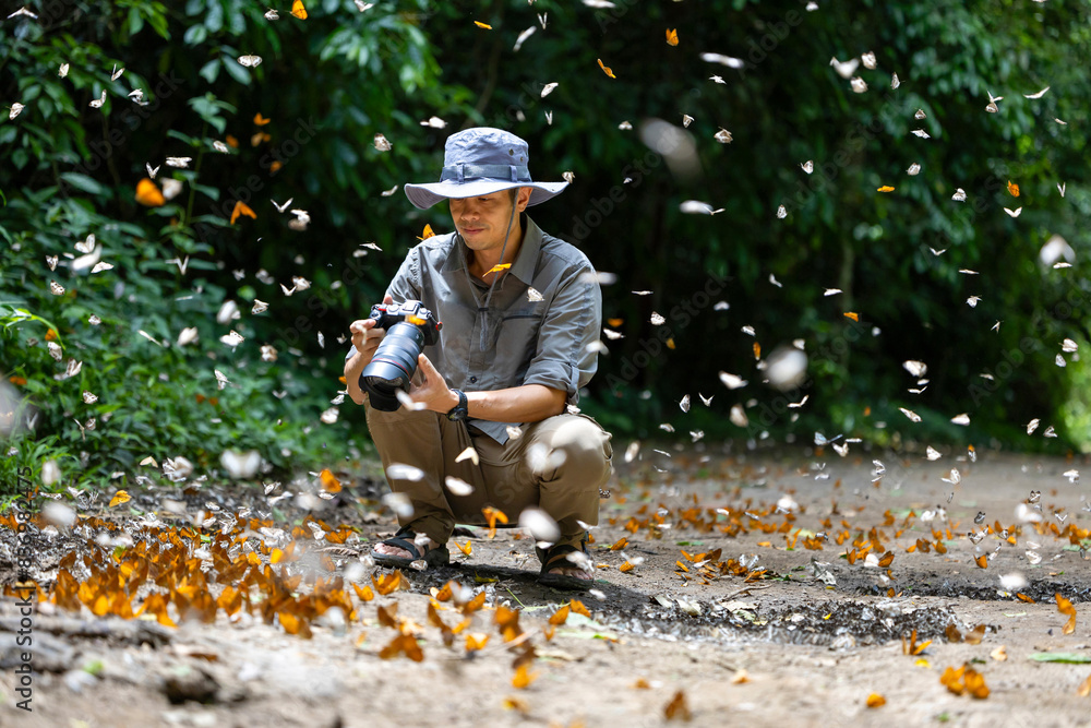 Asian biologist is taking photo of mud puddling phenomenon butterflies ...