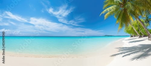 Idyllic tropical beach with palm tree in a panoramic banner photo with a spacious copy space image.