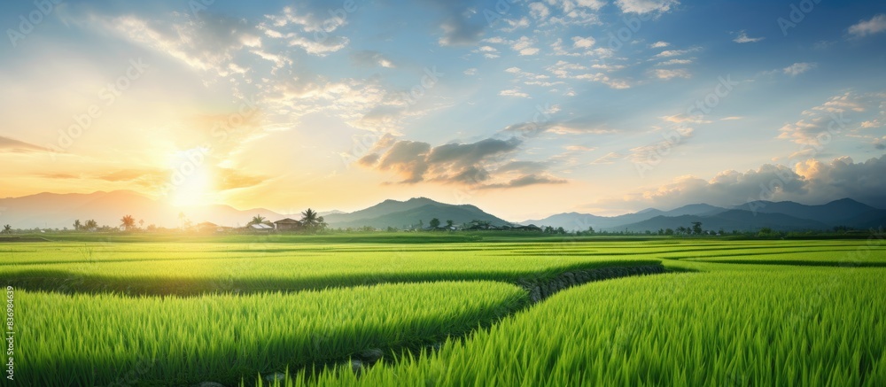 Obraz premium The sun setting over a serene rice paddy field, with a beautiful sky and copy space image.