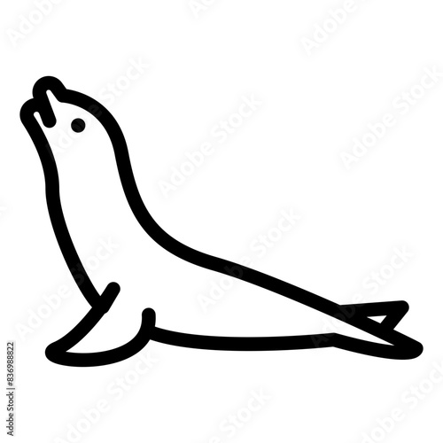 Sea lion