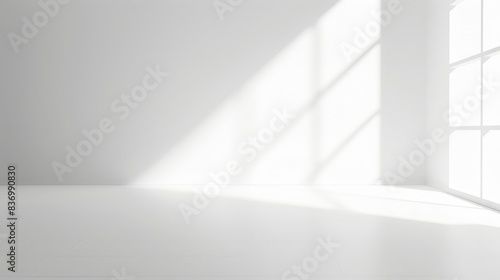 Clean white gradient backdrop  ideal for highlighting simplicity and elegance.