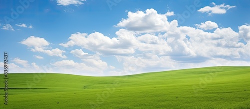 Clean green field and sky with large clouds. Creative banner. Copyspace image