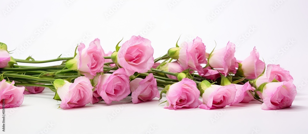 Flowers composition Bouquet made of eustoma flowers isolated on white background. Creative banner. Copyspace image