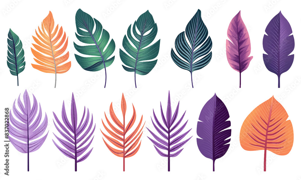 Fototapeta premium Set of tropical leaves on various color isolated on white background. Beautiful tropical exotic foliage.