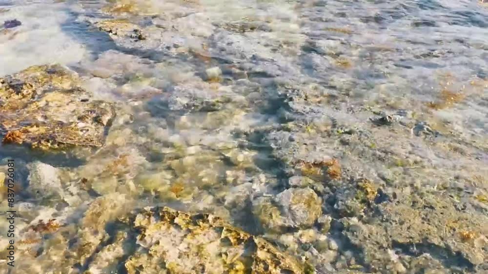 Stones rocks corals turquoise green blue water on beach Mexico. Stones rocks corals turquoise green blue water on beach Mexico.