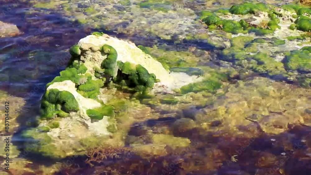 Stones rocks corals turquoise green blue water on beach Mexico. Stones rocks corals turquoise green blue water on beach Mexico.