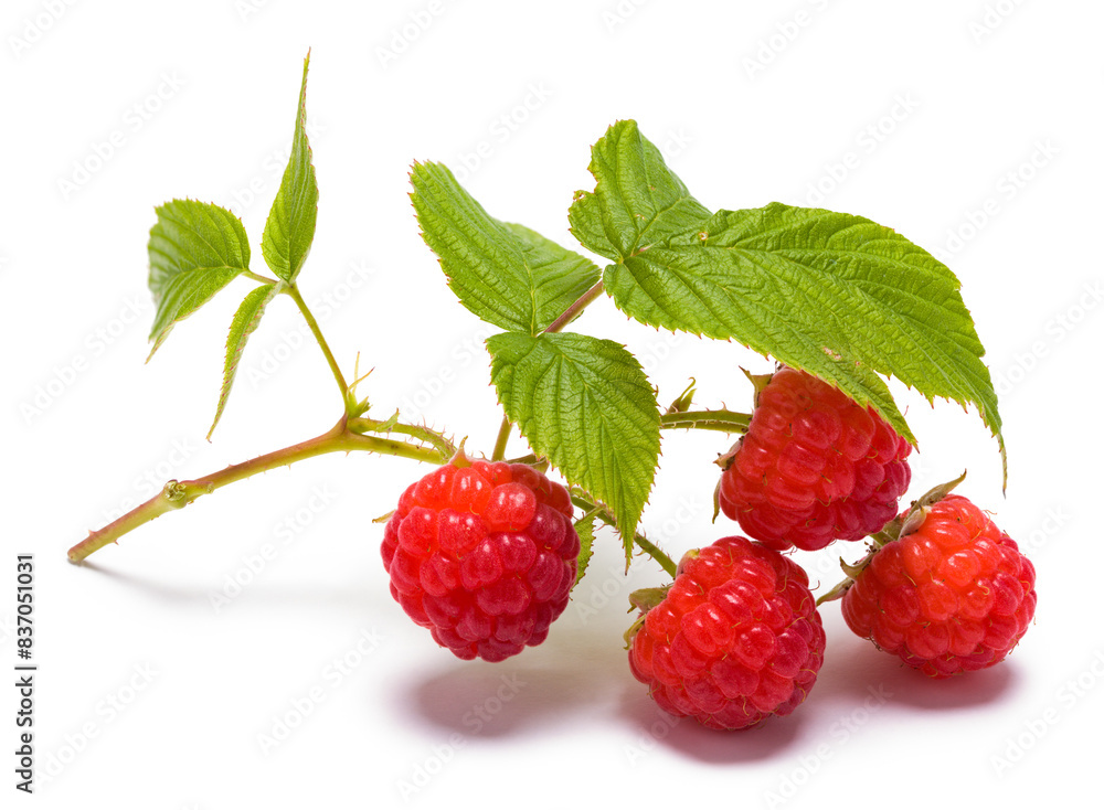 Raspberries Raspberries