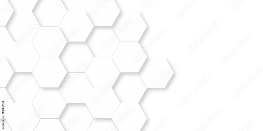 Vector pattern with hexagonal white and gray technology line paper background. Hexagonal 3d grid tile and mosaic structure mess cell. white and gray hexagon honeycomb geometric copy space. Vector pattern with hexagonal white and gray technology line paper background. Hexagonal 3d grid tile and mosaic structure mess cell. white and gray hexagon honeycomb geometric copy space.