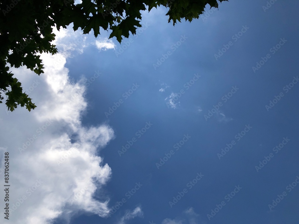 Fototapeta premium beautiful lush clouds on the blue sky