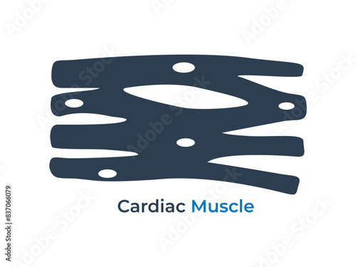 Cardiac Muscle Tissue flat icon vector illustration. Medical icon vector