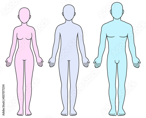 Male, female and unisex body silhouette