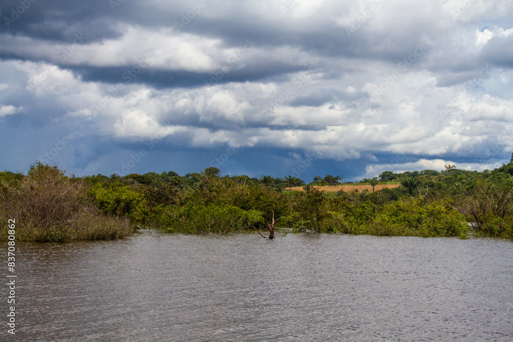 Φωτογραφία A late afternoon on the Rio Negro, near the city of Manaus, highlights the rich biodiversity and exuberant landscape of the Brazilian Amazon