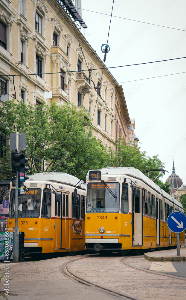 Fototapeta premium Budapeszt Węgry - Budapest Hungary