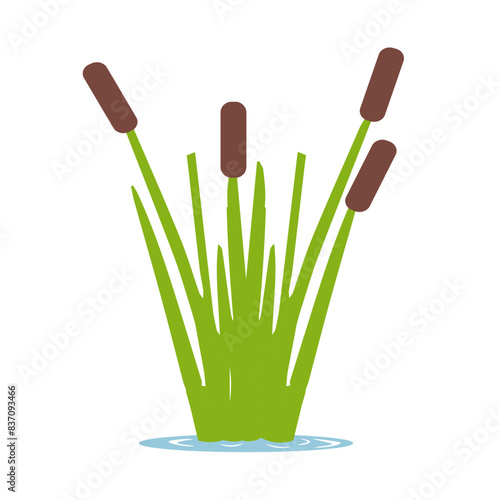 reed in flat style isolated on white background. Vector illustration.
