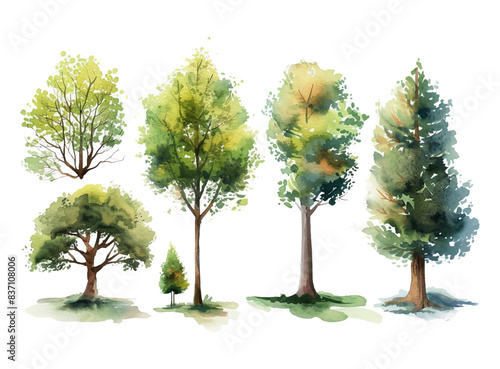 Set of watercolor green trees collection vector illustration