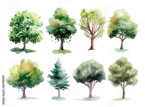 Set of watercolor green trees collection vector illustration