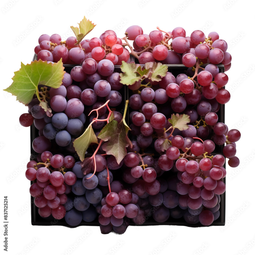 Obraz premium bunch of grapes