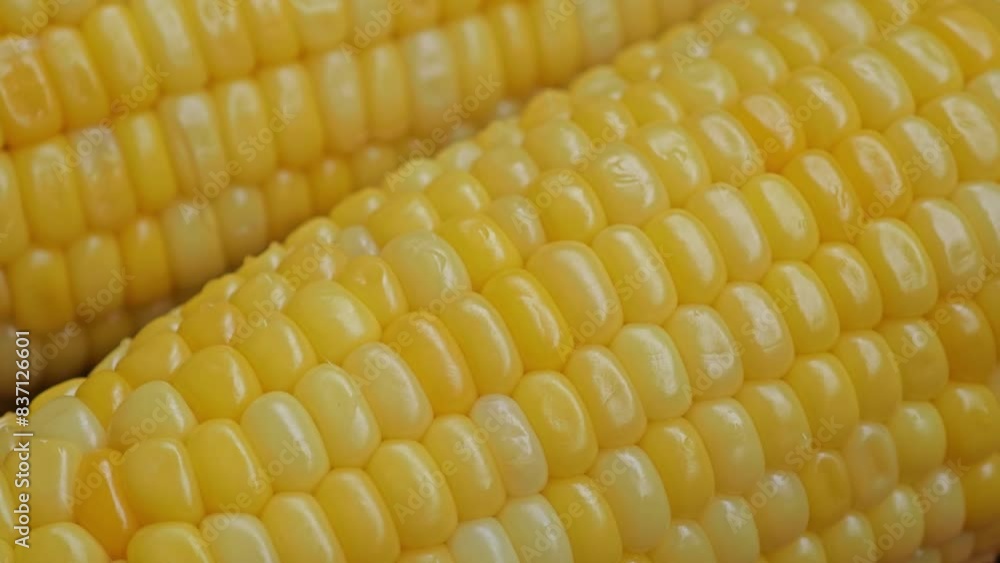 sweet corn sweet corn