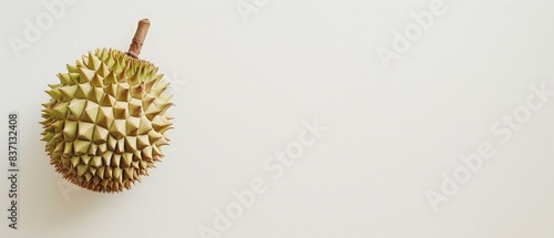 Fresh durian on a white background, showcasing the unique texture and spiky exterior of this exotic fruit