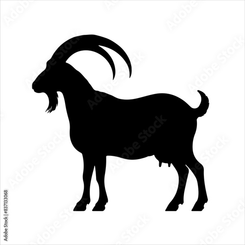 Fotografía Cute boer goat silhouette isolated on white background