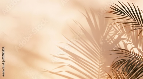 An Abstract Background with Palm Shadows on a Light Peach Colored Wall, Featuring a Summer Beach Scene and Empty Space for Product Presentation, with a Mockup Design Template in the Style of Summer Be