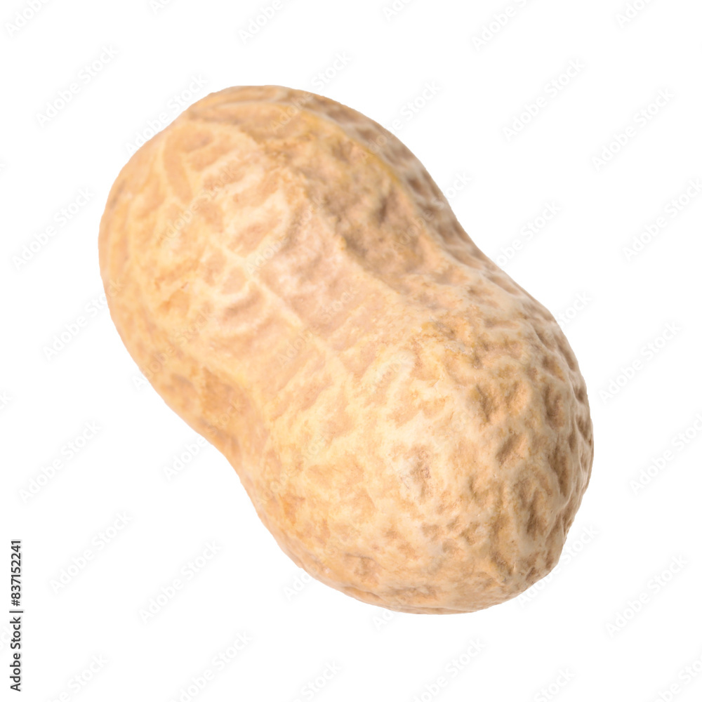 One fresh unpeeled peanut isolated on white One fresh unpeeled peanut isolated on white