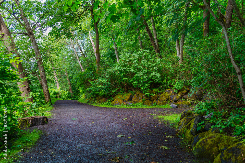 Fototapeta premium Trail At Burien Park