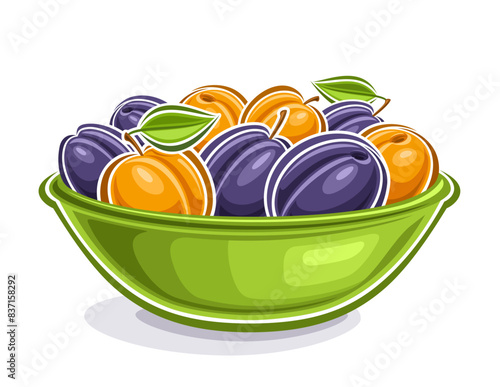 Vector logo for Plum and Apricot, decorative horizontal poster with outline illustration of fruit composition with green leaves, cartoon design fruity label with plums and apricots on white background
