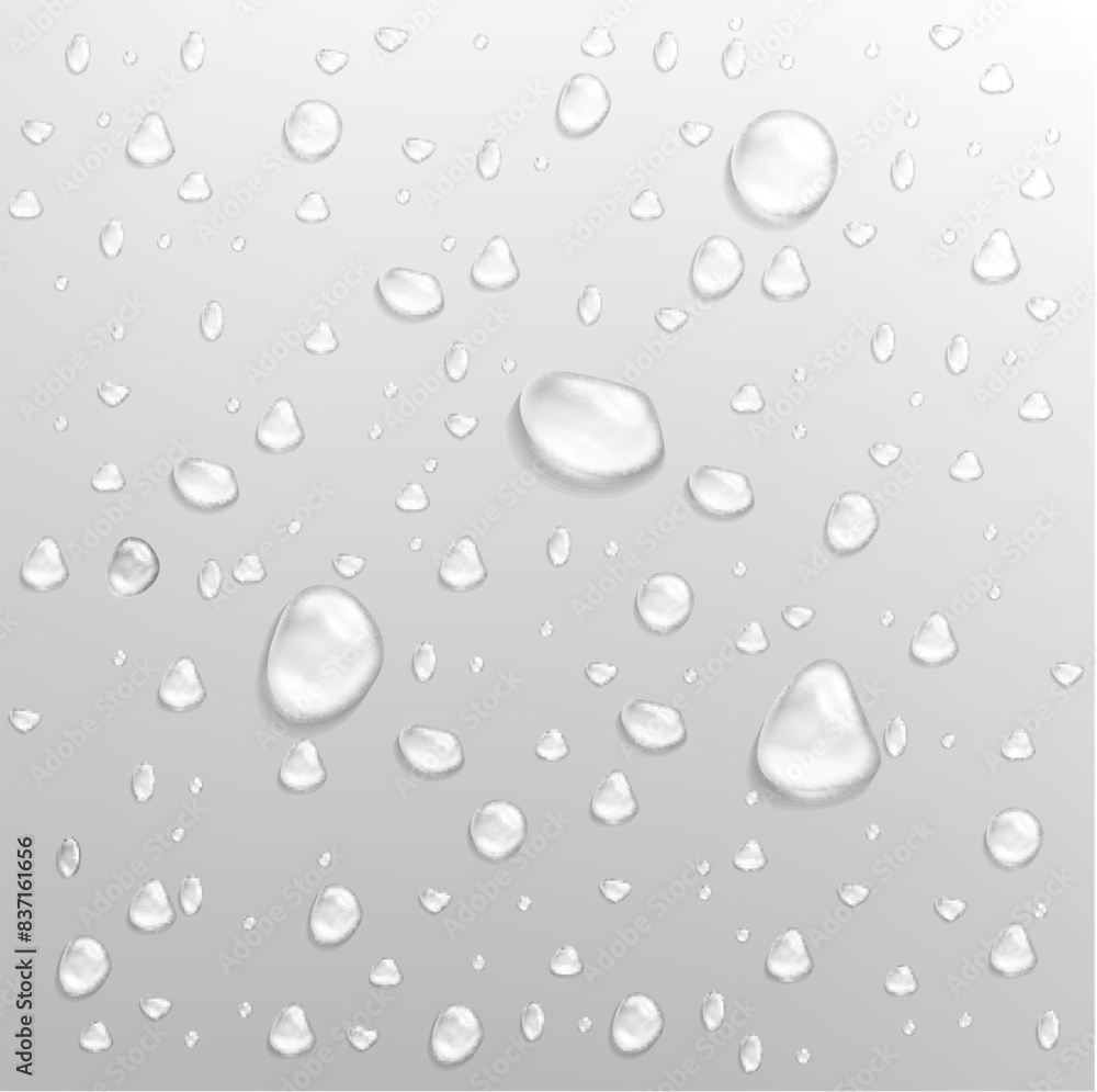 Fotografie Realistic water drop vectors isolated on gray background