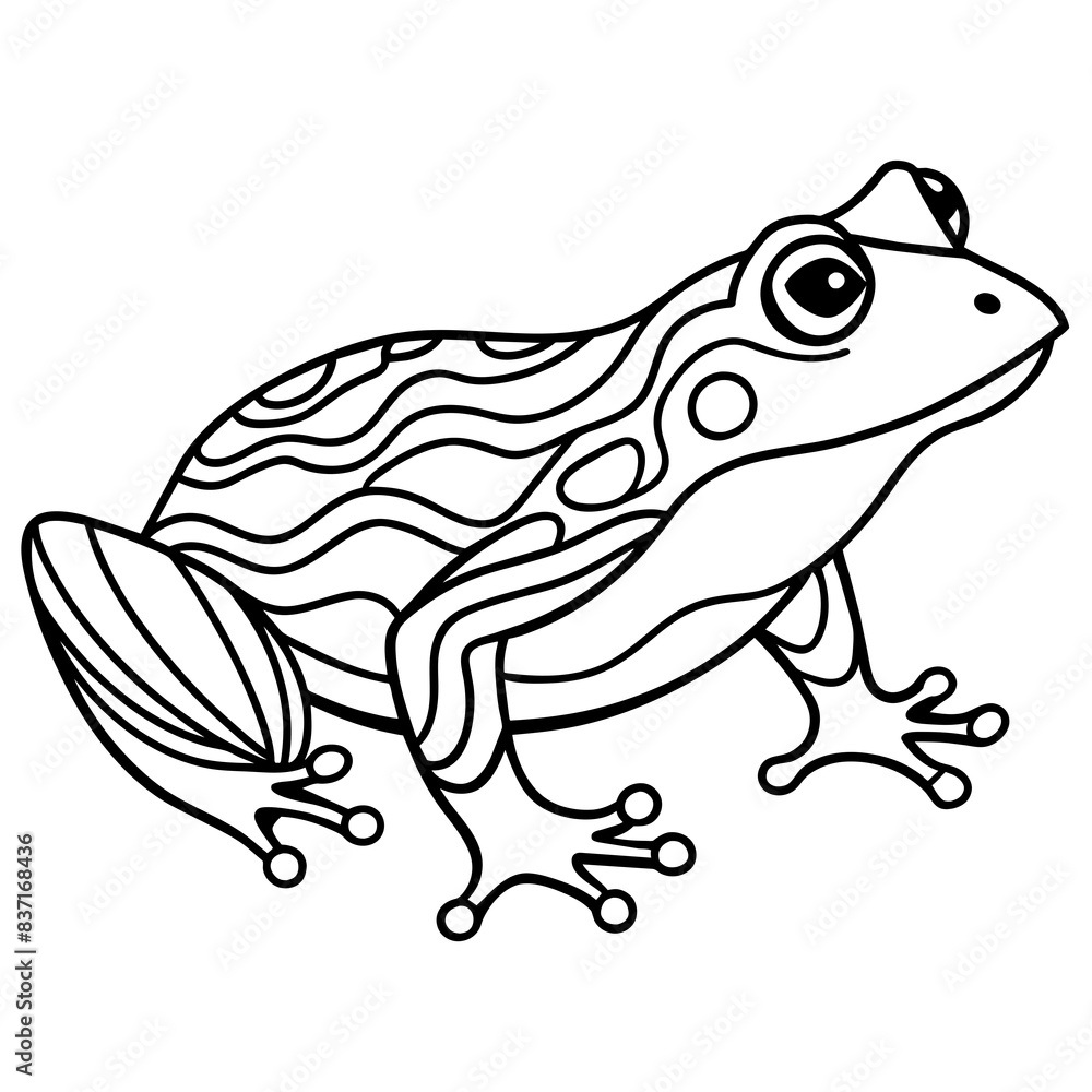 Obraz premium COLORING PAGES FOR KIDS AND ADULTS 