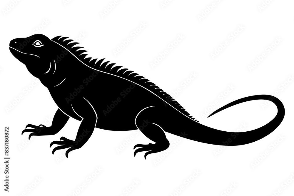 iguana silhouette vector illustration
iguana silhouette vector illustration