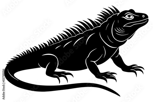 iguana silhouette vector illustration 